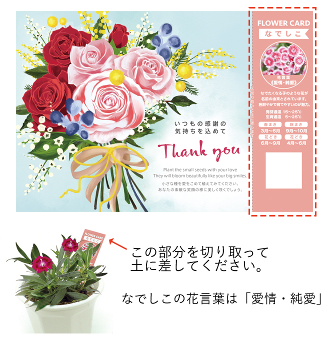 メッセージカード